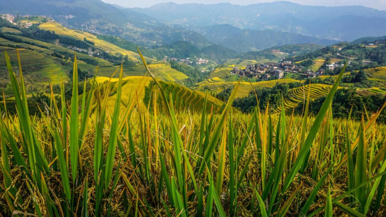 Longji Terrace Lavie Backpacker Hostel Longsheng Exterior foto