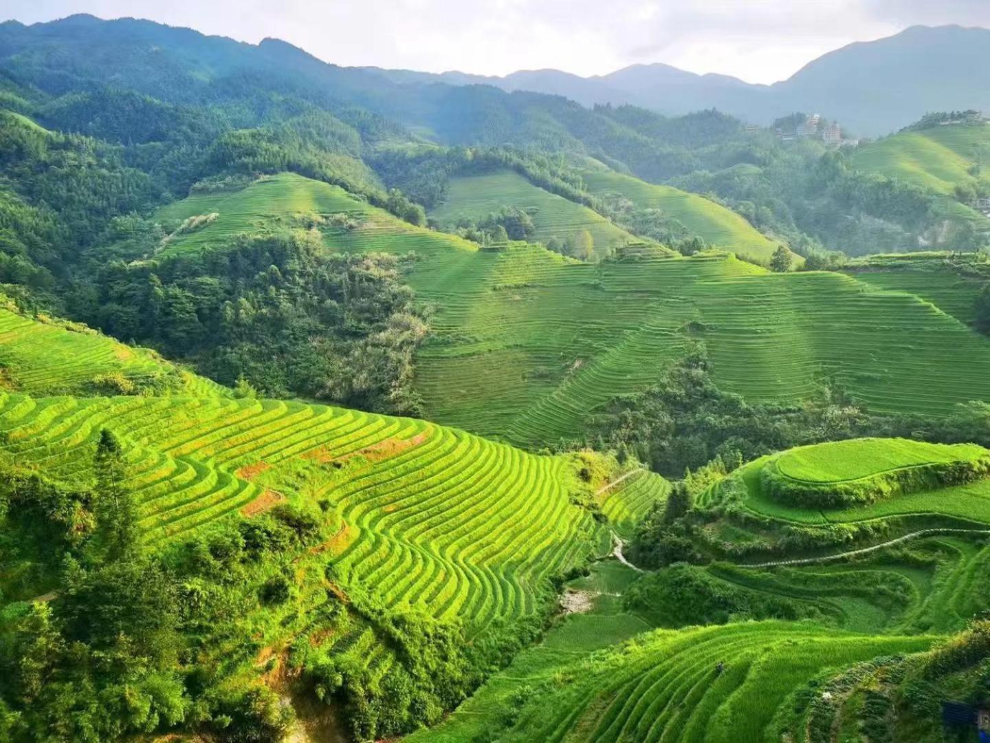 Longji Terrace Lavie Backpacker Hostel Longsheng Exterior foto